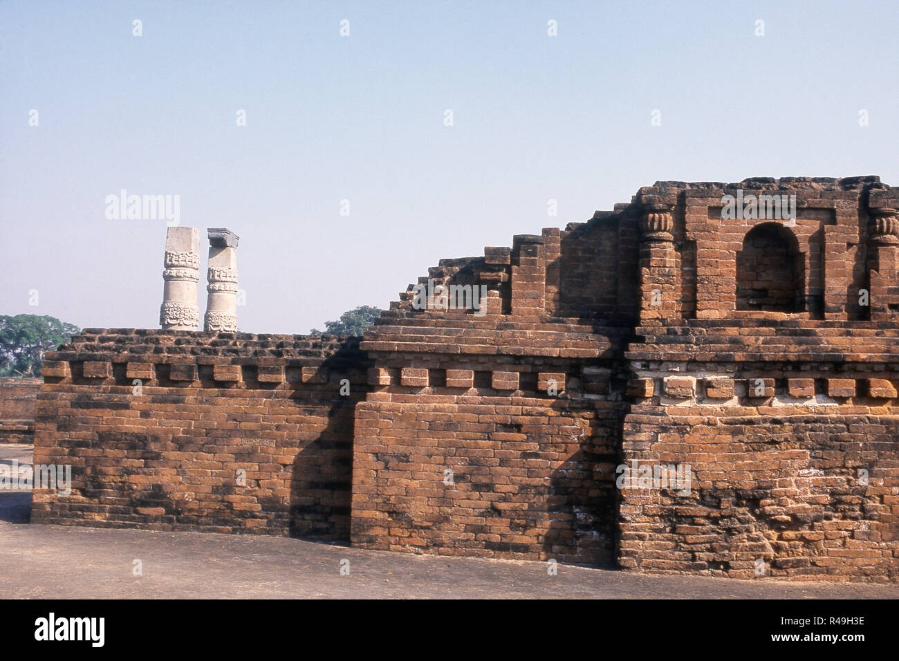 Nalanda complesso universitario con colonne scolpite, Nalanda, Bihar, in India, Asia Foto Stock