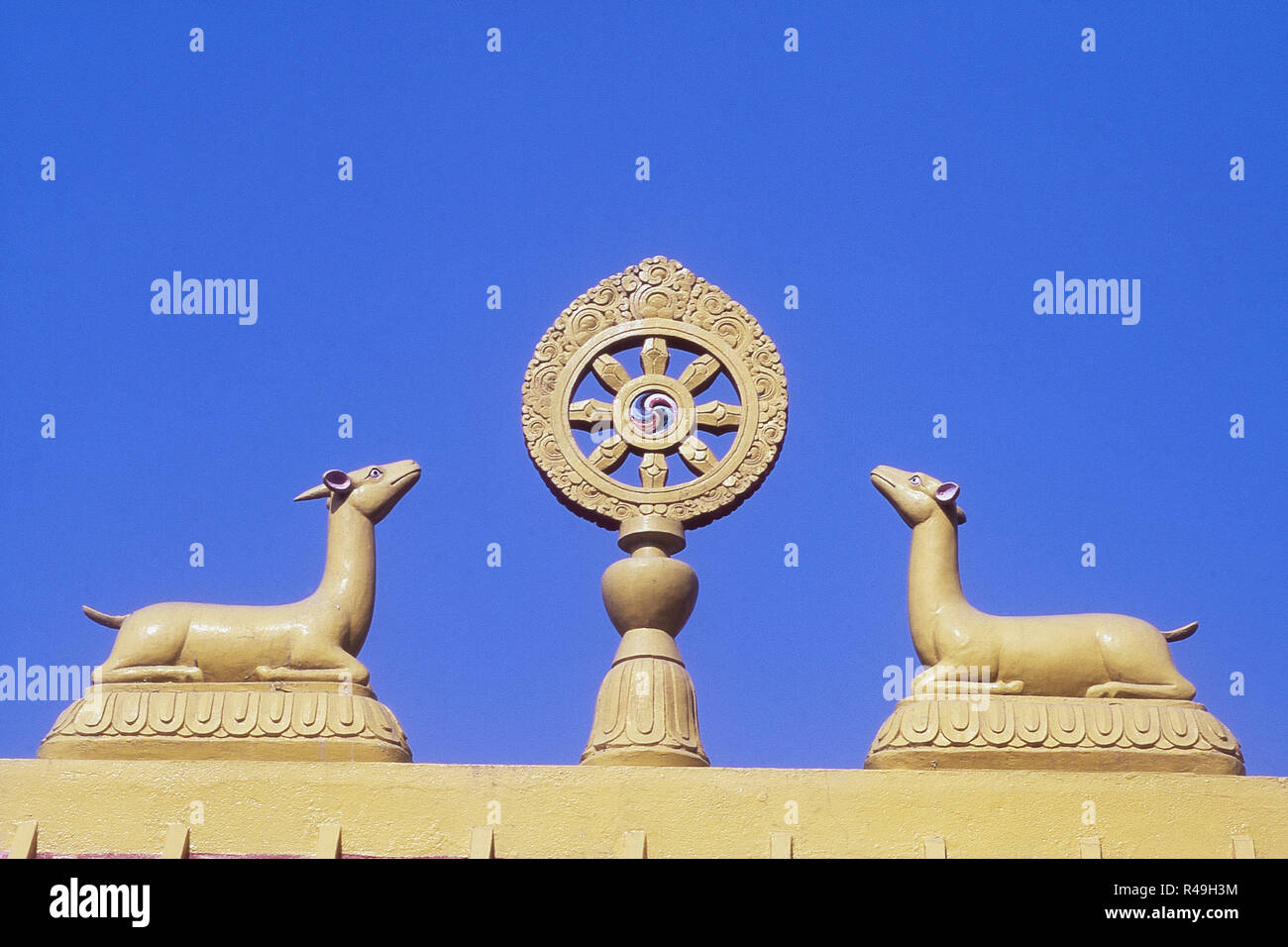 Ruota di pace e di cervi, Bodh Gaya, Bihar, in India, Asia Foto Stock
