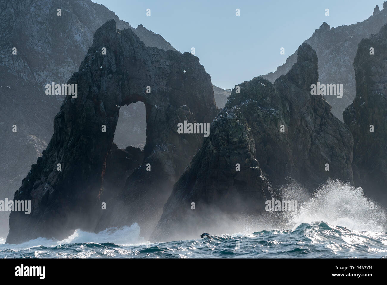 Un formata naturalmente rock arco all'Farallon islands, California. Foto Stock