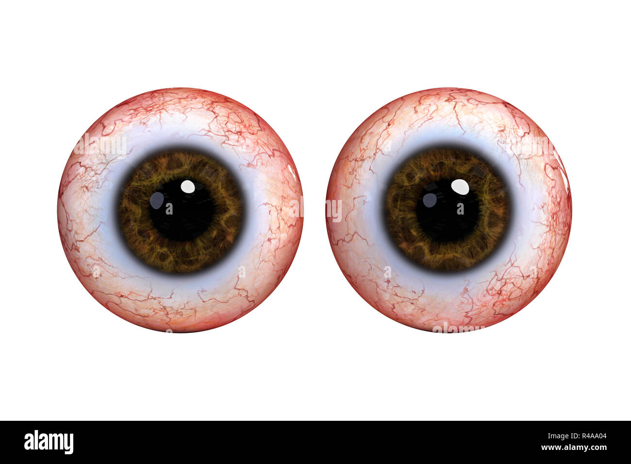 Due realistico occhio umano sfere marrone con iris, isolati su sfondo bianco (3d rendering) Foto Stock