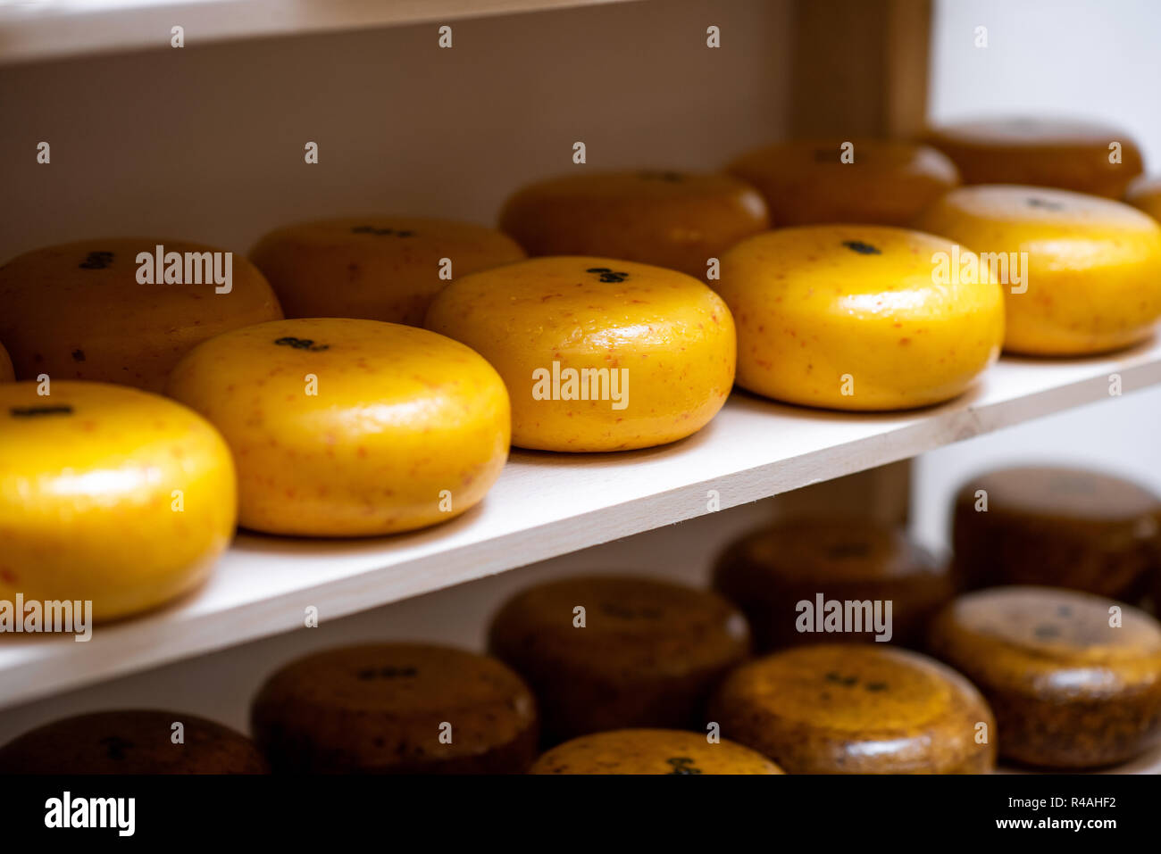 Ruote di formaggio sul ripiano del magazzino durante il processo di invecchiamento Foto Stock