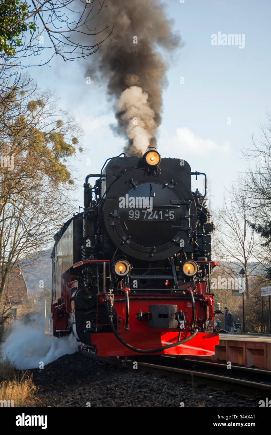 Locomotiva a vapore di Harz a scartamento ridotto delle ferrovie, Brocken ferroviarie, Wernigerode-Hasserode, Harz, Sassonia-Anhalt, Germania Foto Stock