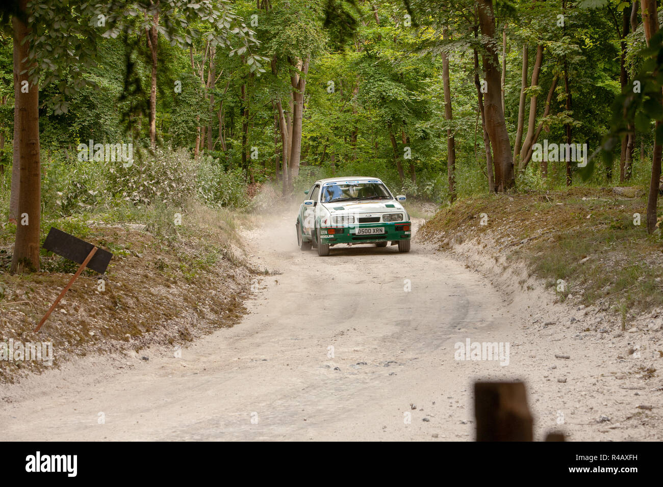 Goodwood Festival della Velocità di gara di rally, Chichester, Sussex Foto Stock