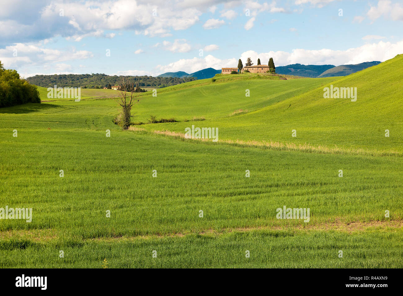 Crete Senesi Siena, Toscana, Italia, Europa Foto Stock