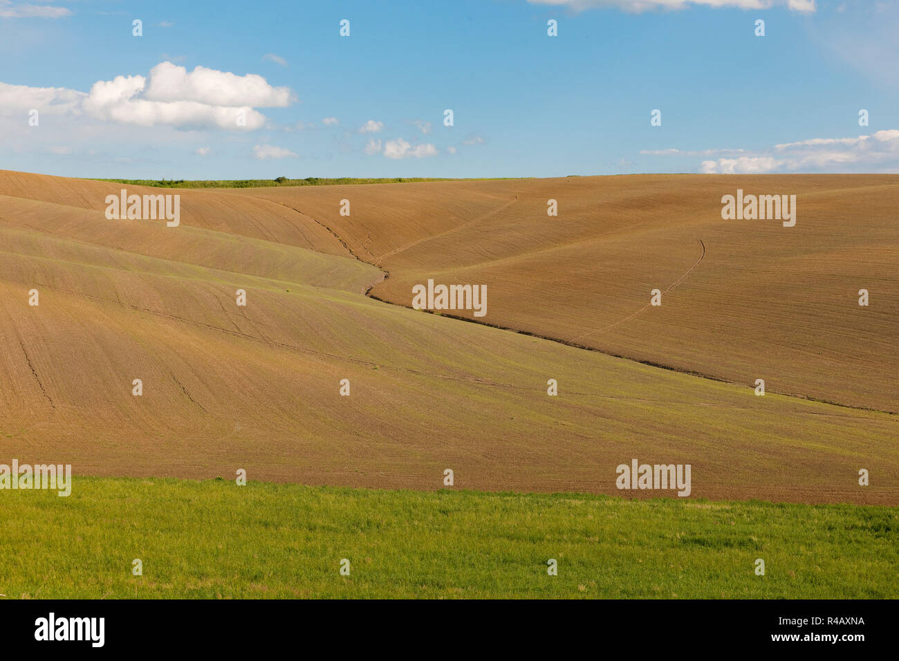 Crete Senesi, colle colorate, Siena, Toscana, Italia, Europa Foto Stock