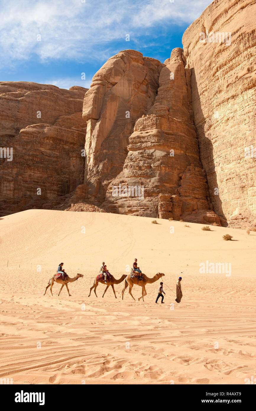 Corsa in Cammello, turistico equitazione dromedari, Wadi Rum, Giordania, Asia (Camelus dromedarius) Foto Stock