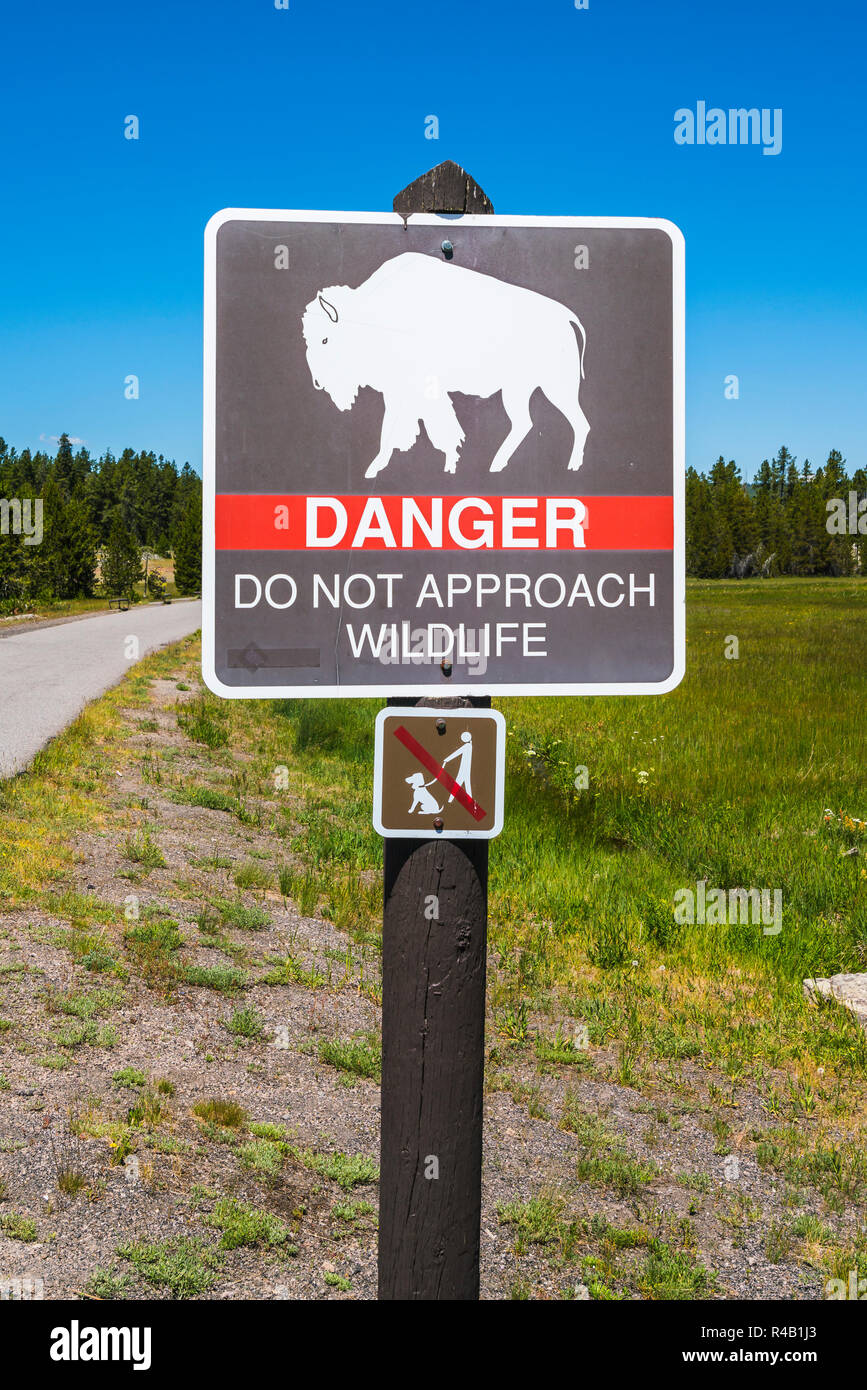 Pericolo non appoach wildlife,bison polo di segno vicino da marciapiede. Foto Stock