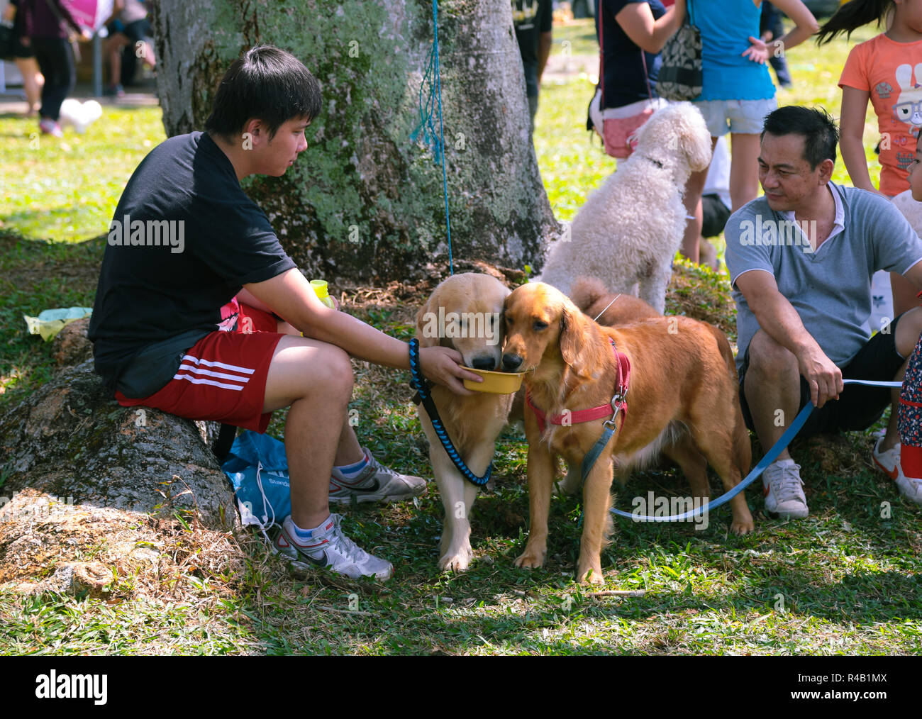 Gita di famiglia con i loro bambini e cani. Foto Stock