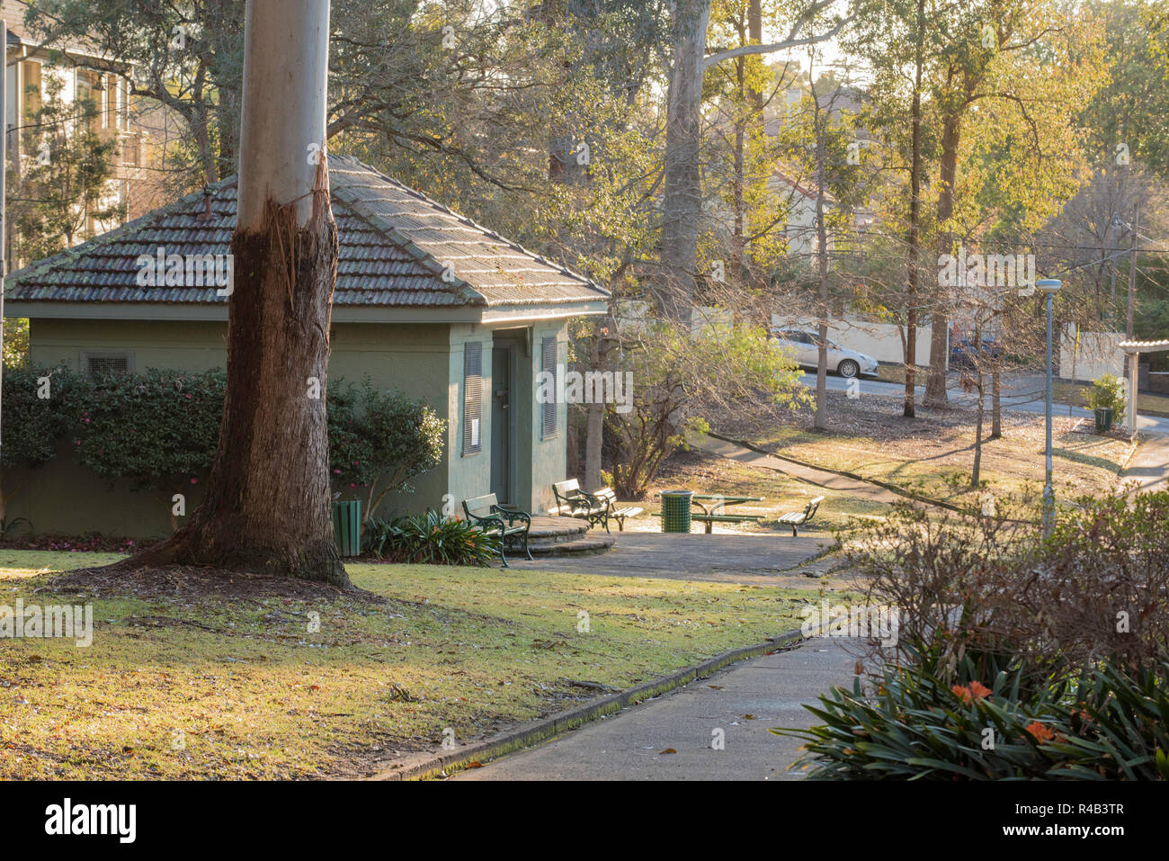 Sole di mattina filtra attraverso la gengiva alberi e lambisce il vecchio club house modificare camere in Werona Park, Gordon a Sydney Foto Stock