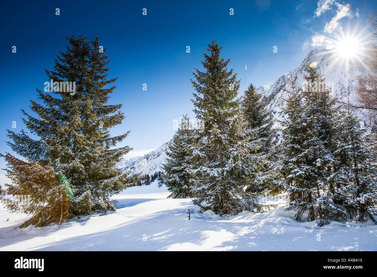 Inverno incredibile tramonto sull Adamello, Presanella montagne da Tonale town, Alpi Italiane, l'Europa. Foto Stock