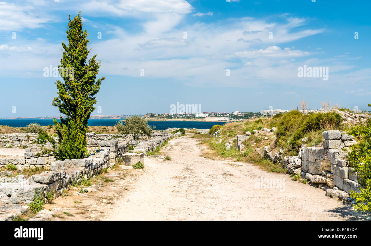 Rovine di Chersonesus, antica colonia greca. Sebastopoli, Crimea Foto Stock