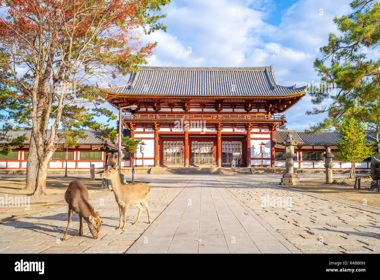 Cervi e gate centrale di todaiji a Nara, Giappone Foto Stock