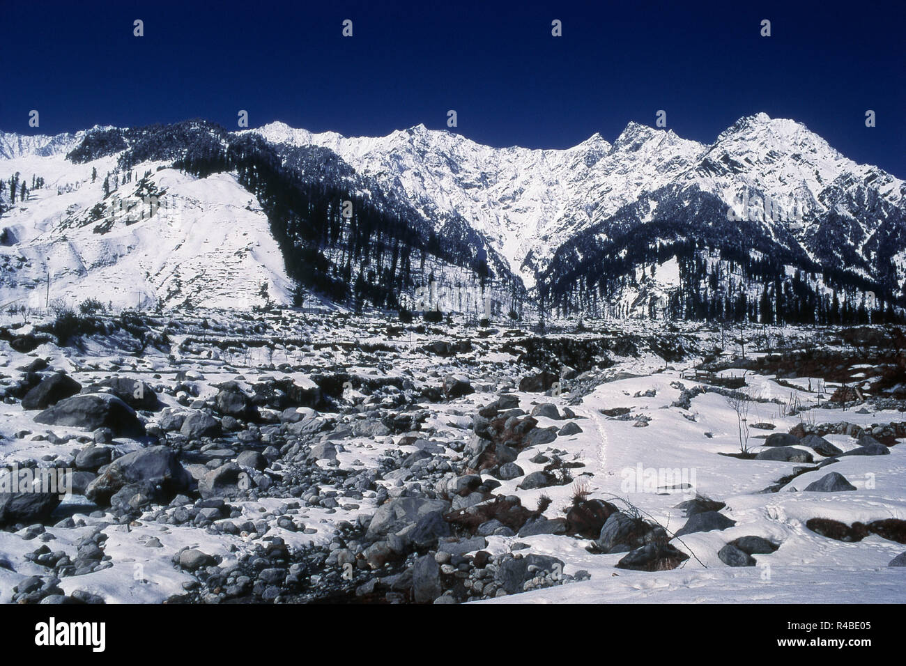 Neve montagna rivestita, solang valley, Manali, Himachal Pradesh, India, Asia Foto Stock