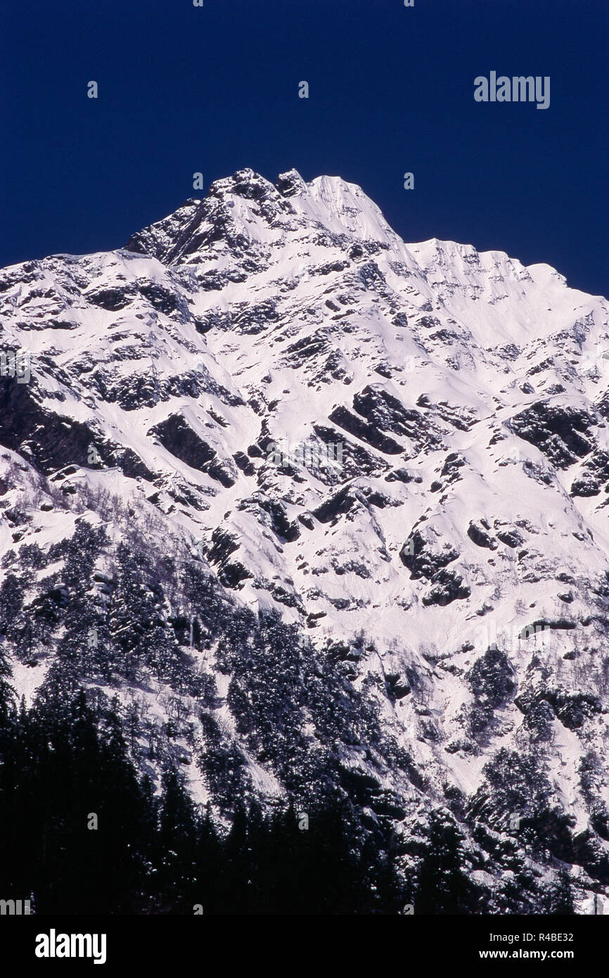 Neve montagna rivestita, Solang Valley, Manali, Himachal Pradesh, India, Asia Foto Stock