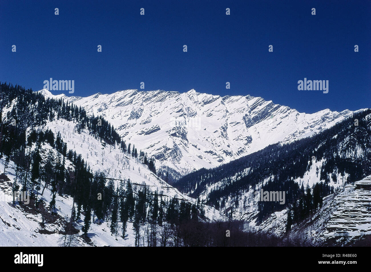 Neve montagna rivestita, Solang Valley, Manali, Himachal Pradesh, India, Asia Foto Stock