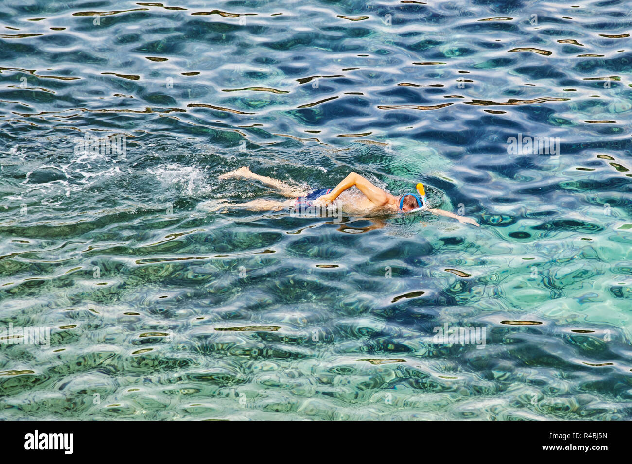 Snorkeling nuotatori Foto Stock
