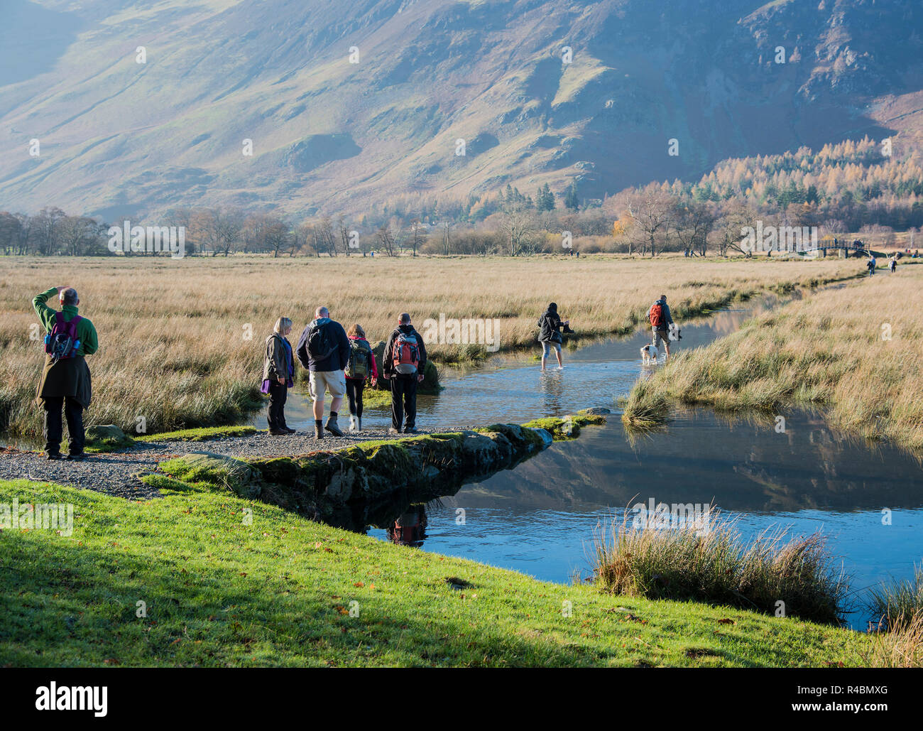 Gruppo di escursionisti paddling attraverso un sentiero inondato nel Lake District Inghilterra England Regno Unito. Foto Stock