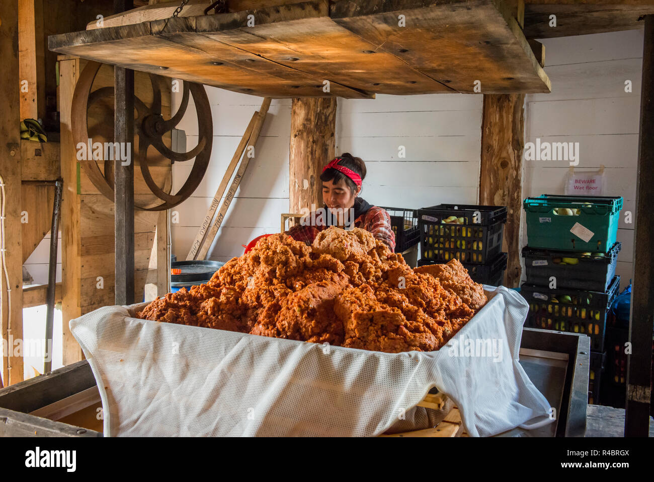 Artigianato facendo Sidro, tradizionale in legno stampa Apple, la costruzione di un formaggio, con la cremagliera e il panno, orzo legno xviii Ott 2018 Foto Stock