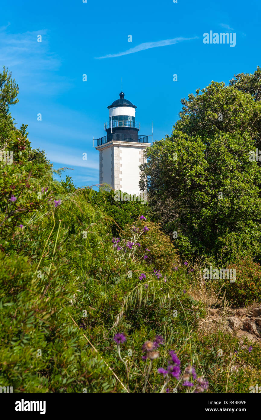 Faro di Cap Camarat, Ramatuelle, Var, Provence-Alpes-Côte d Azur, in Francia, in Europa Foto Stock