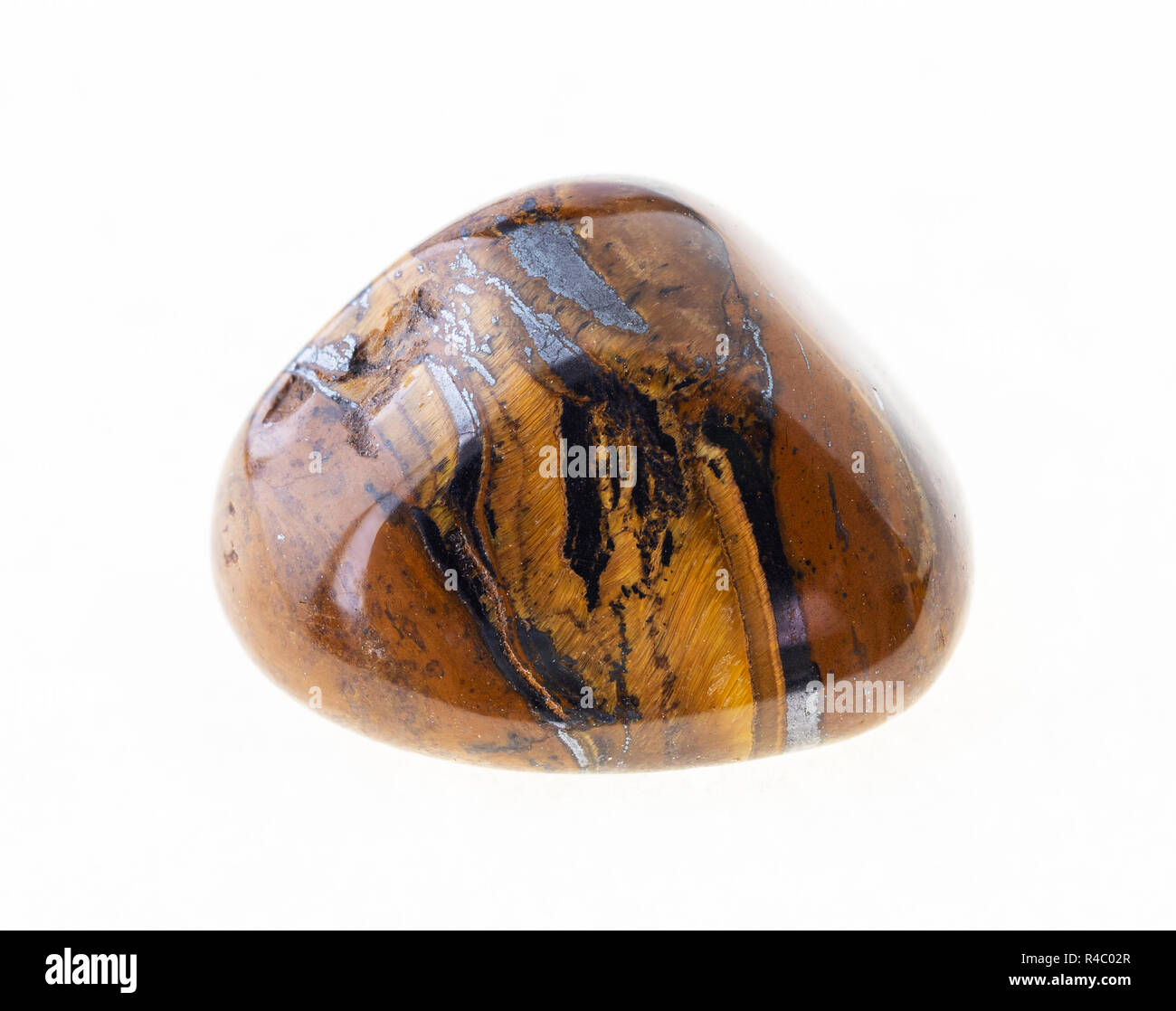 La fotografia macro di naturale minerale da collezione geologica - lucidato occhio di tigre (occhio di tigre) gem pietra su sfondo bianco Foto Stock