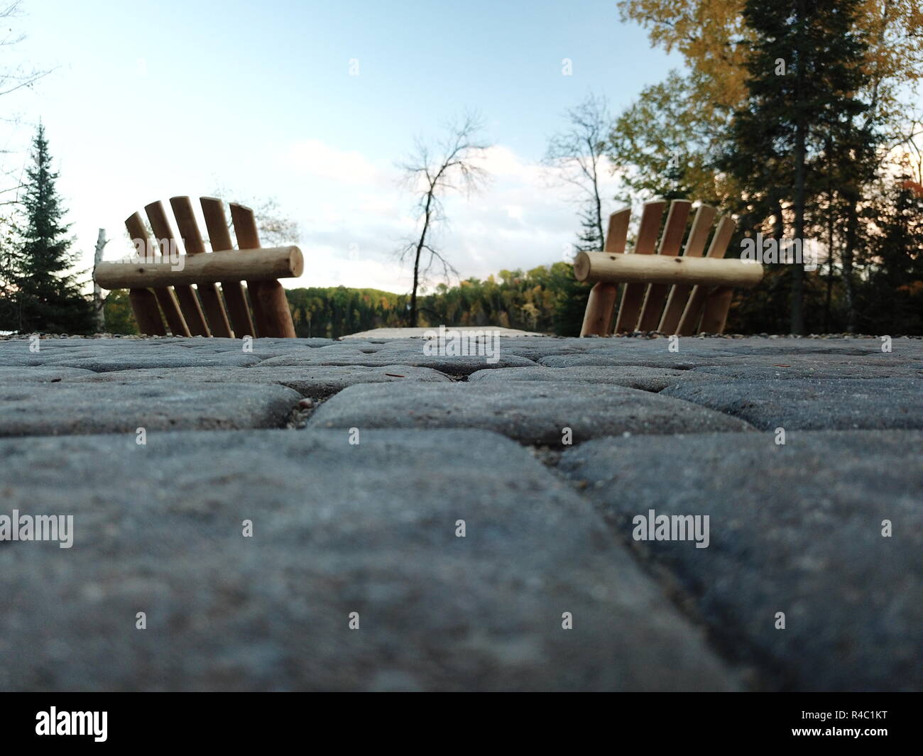 La vita da un bug di visualizzazione Foto Stock