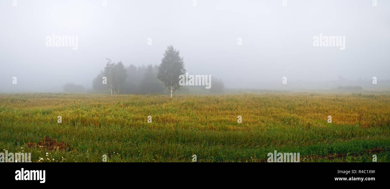 La nebbia in campagna Foto Stock