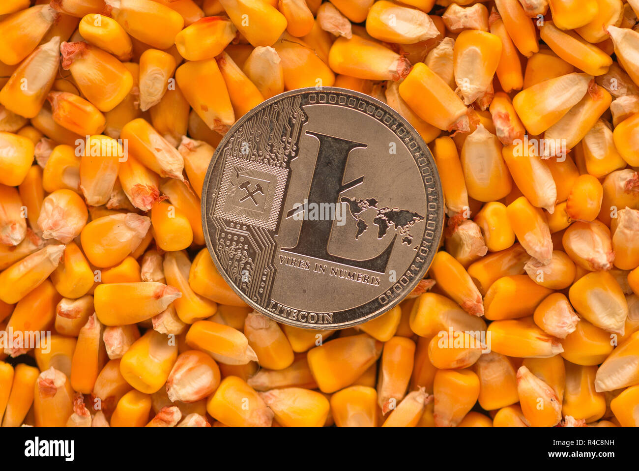 Litecoin sulla sommità di chicchi di mais, heap immagine concettuale per attività commerciali compresi cryptocurrency relative al commercio di prodotti agricoli in autobus Foto Stock