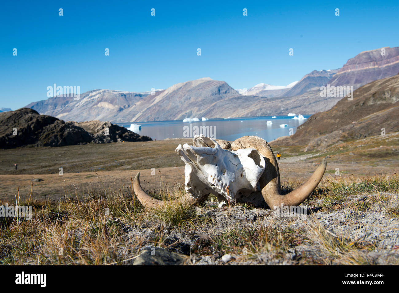 Vista sulla montagna in Groenlandia Foto Stock