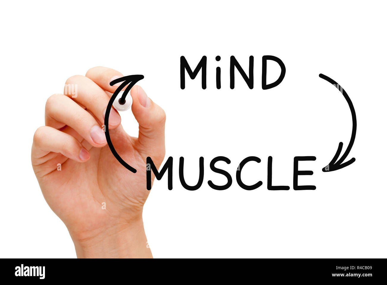 Disegno a mano Mind-Muscle concetto di connessione con il pennarello nero su trasparente wipe board isolato su bianco. Foto Stock