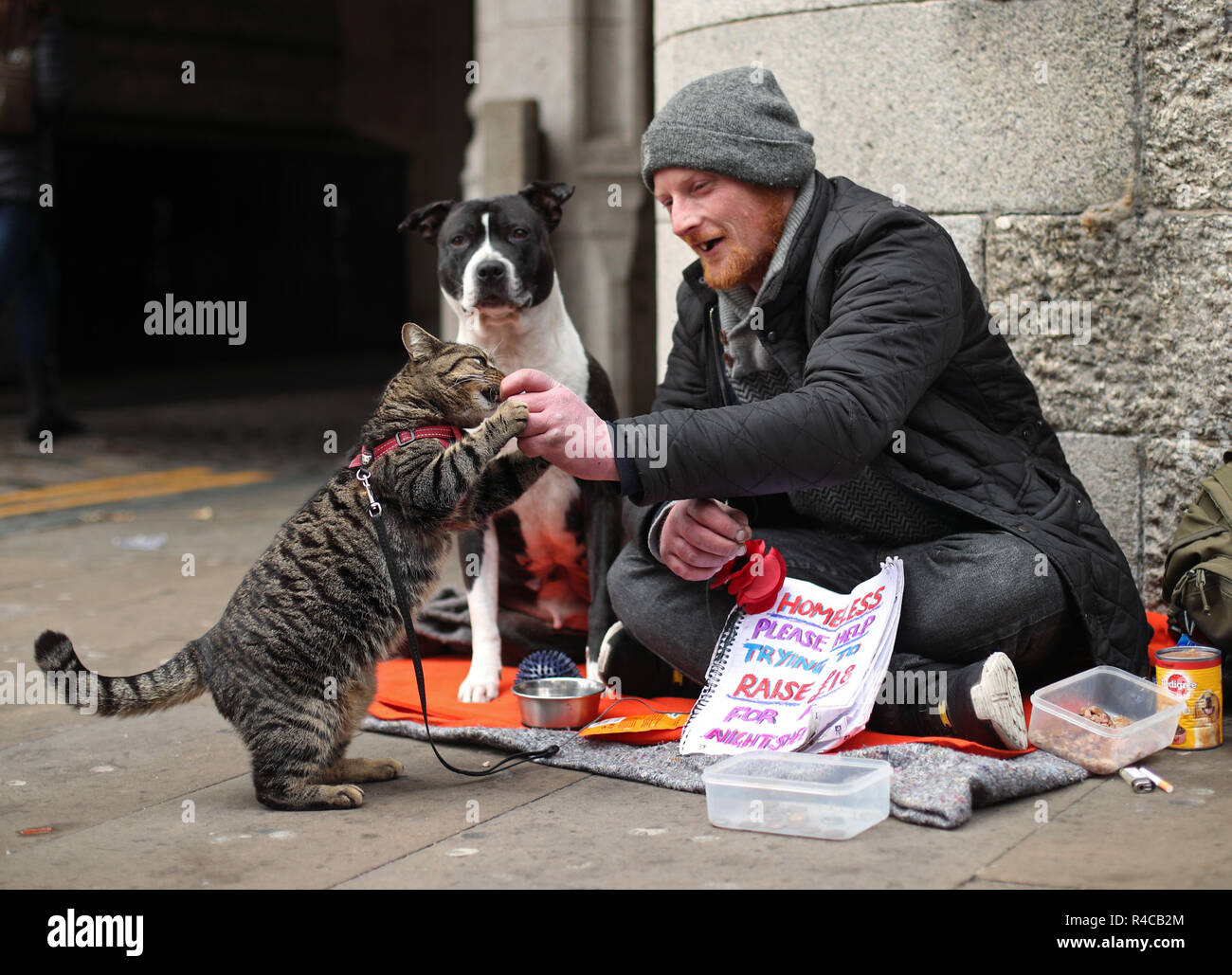 Sam malto, un 36-anno-vecchio uomo senza tetto con il suo gatto di casa Buffy e cane Hooch, a Londra. Foto Stock