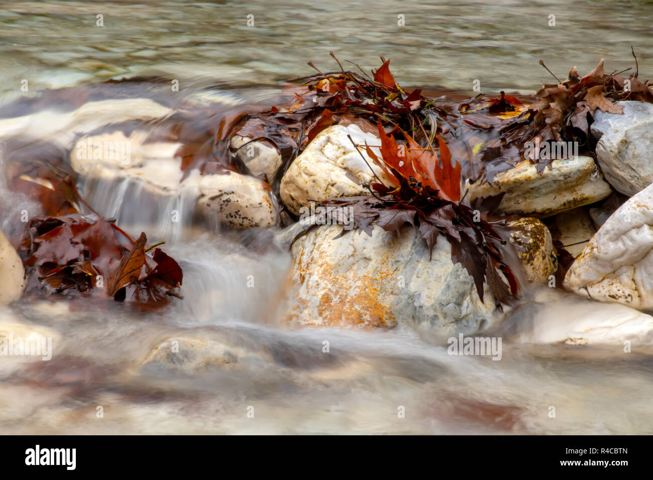 Ruscello di montagna che scorre tra le pietre e salutato marrone con foglie di autunno Grecia Foto Stock