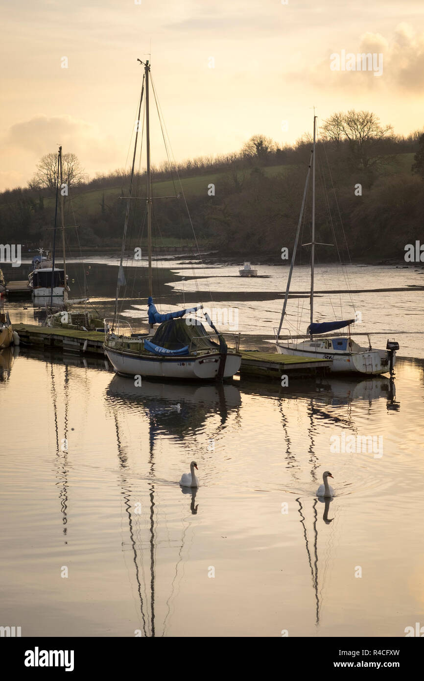Kingsbridge estuario, Devon, serata ancora riflessi nell'acqua Foto Stock