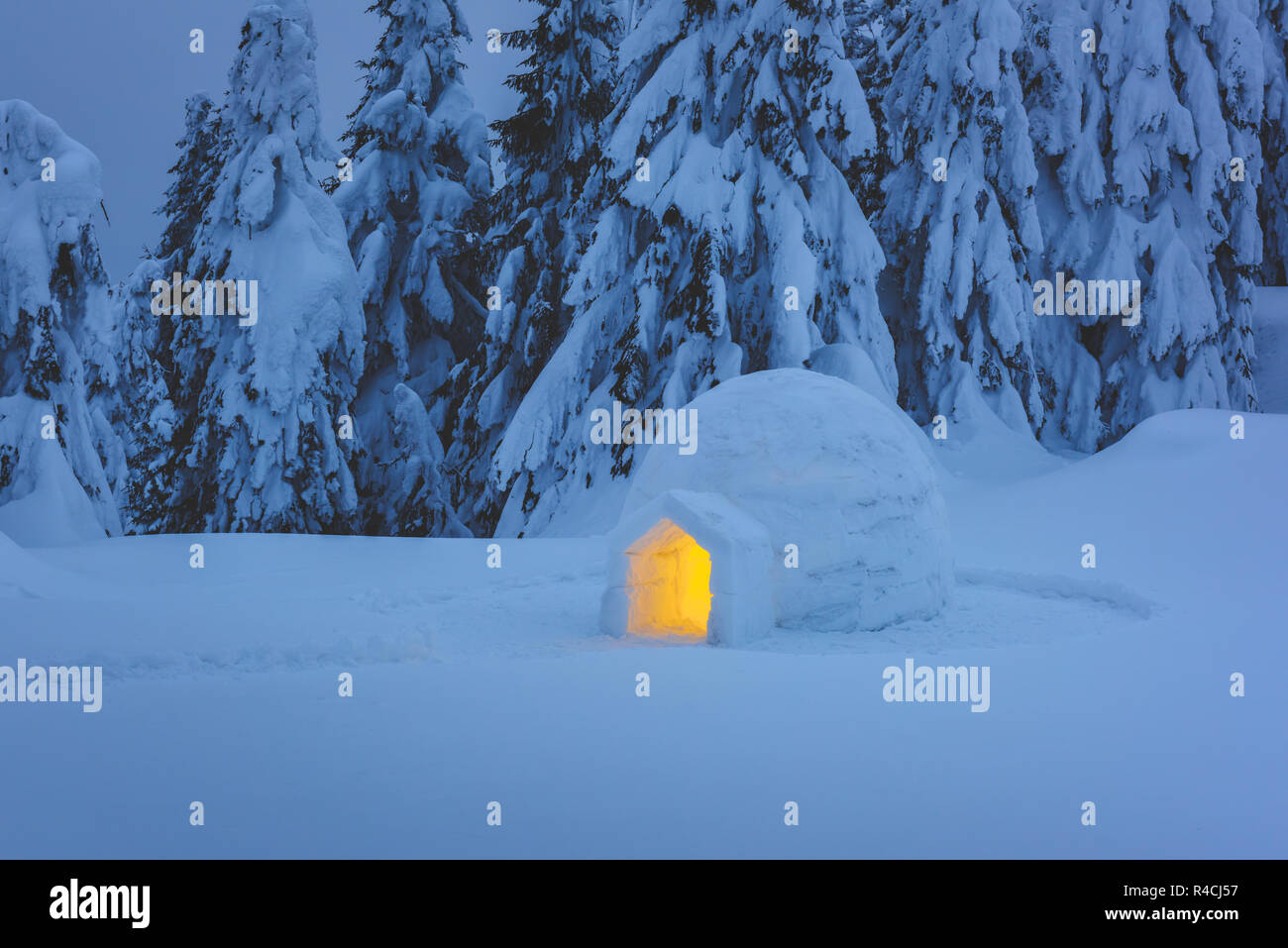Neve luminosi igloo dall'interno in inverno le montagne dei Carpazi. Coperte di neve abeti nella luce della sera in background. Foto Stock