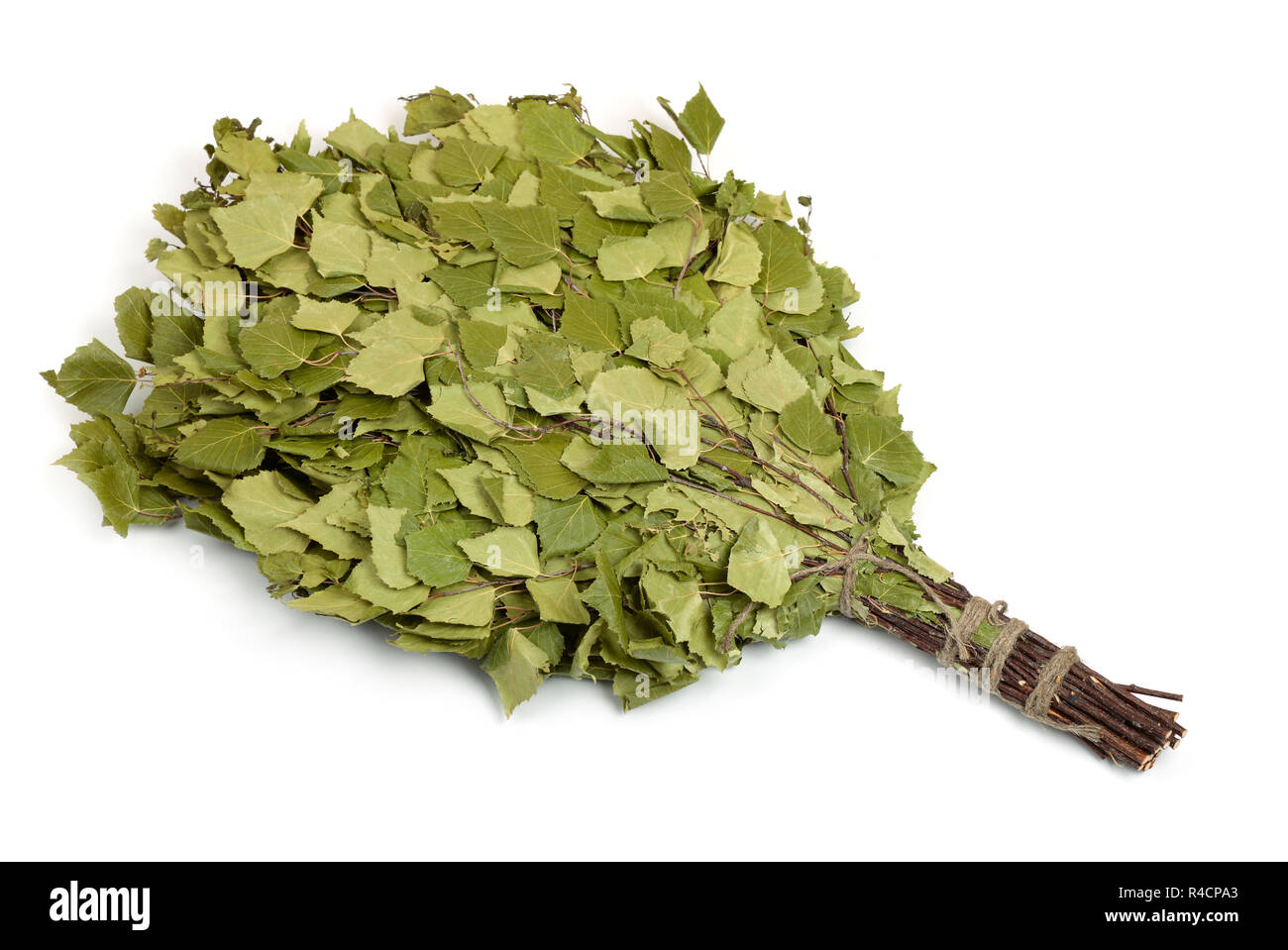 Secco scopa di betulla isolato su bianco Foto Stock