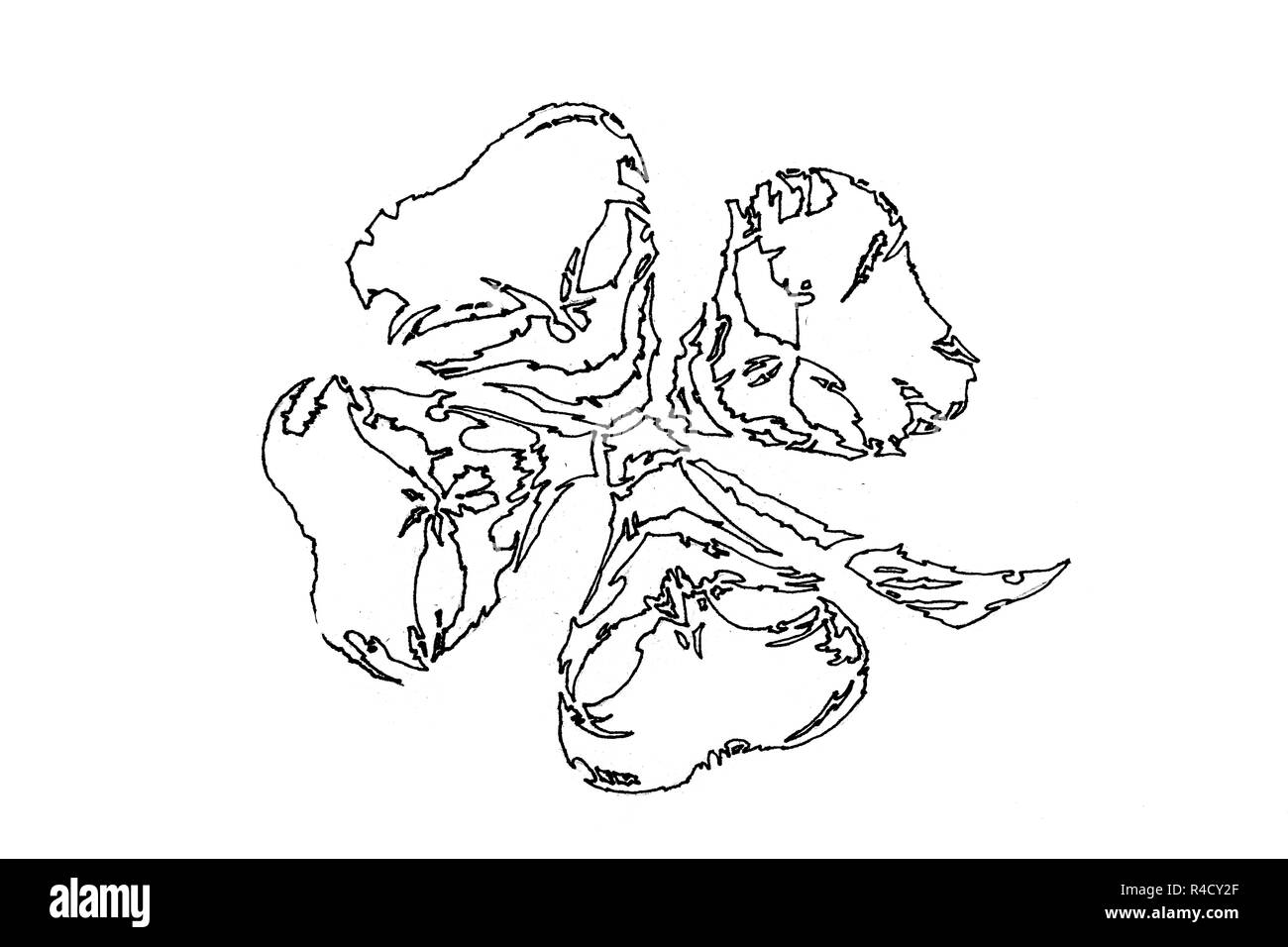 In bianco e nero il fiore di petali in forma di un teschio e una spada a forma di fiore gamba. Fiore di morte, disegno su carta bianca con inchiostro. Foto Stock