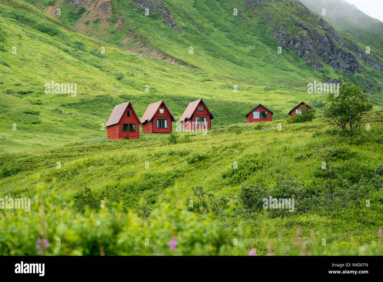 Abbandonate le cabine rosso sedersi nel verde delle lussureggianti montagne di Alaska's Hatcher passano vicino alla miniera di indipendenza. Foto Stock