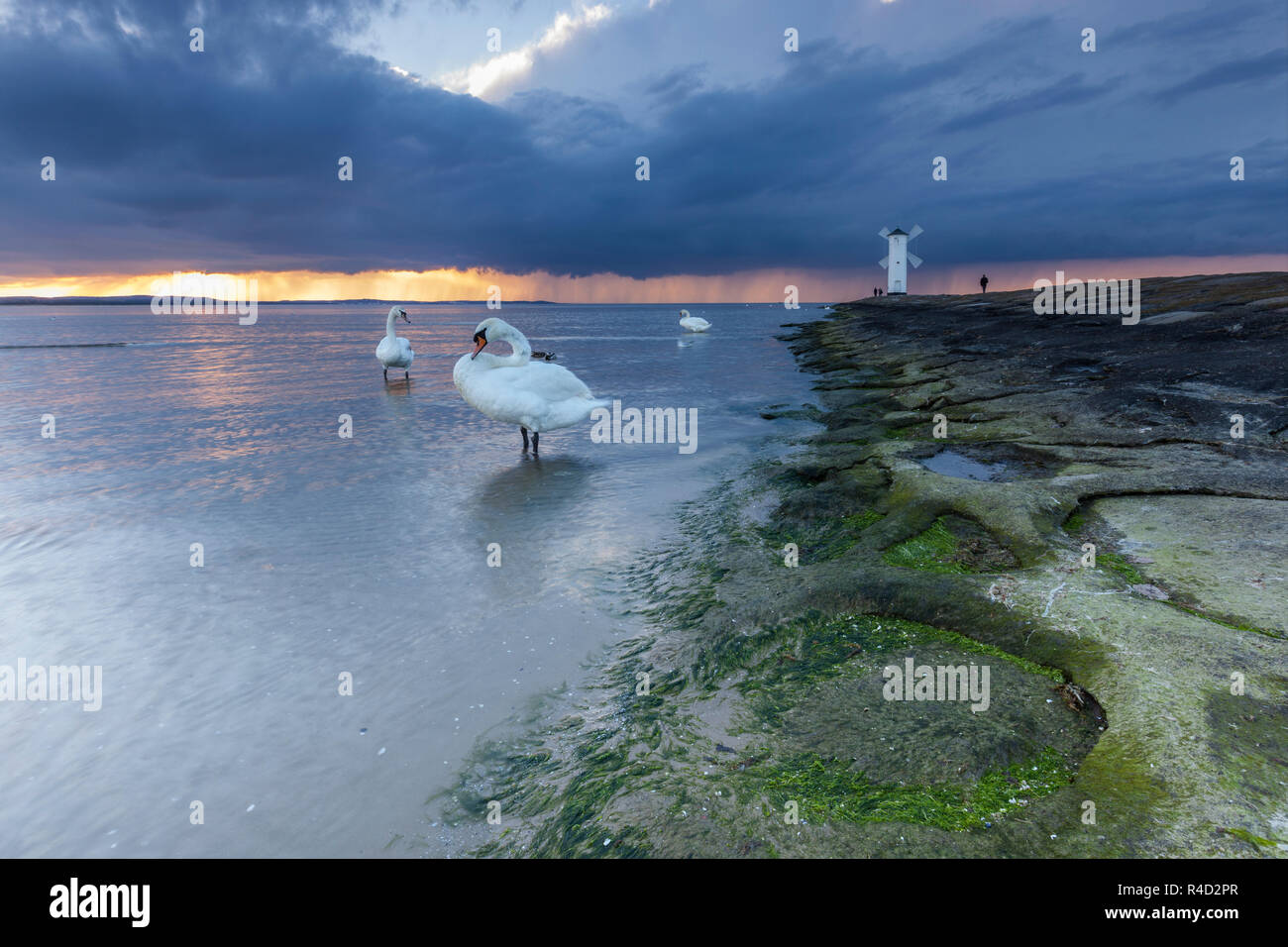 MÃ¼hlenbake di swinoujscie Foto Stock