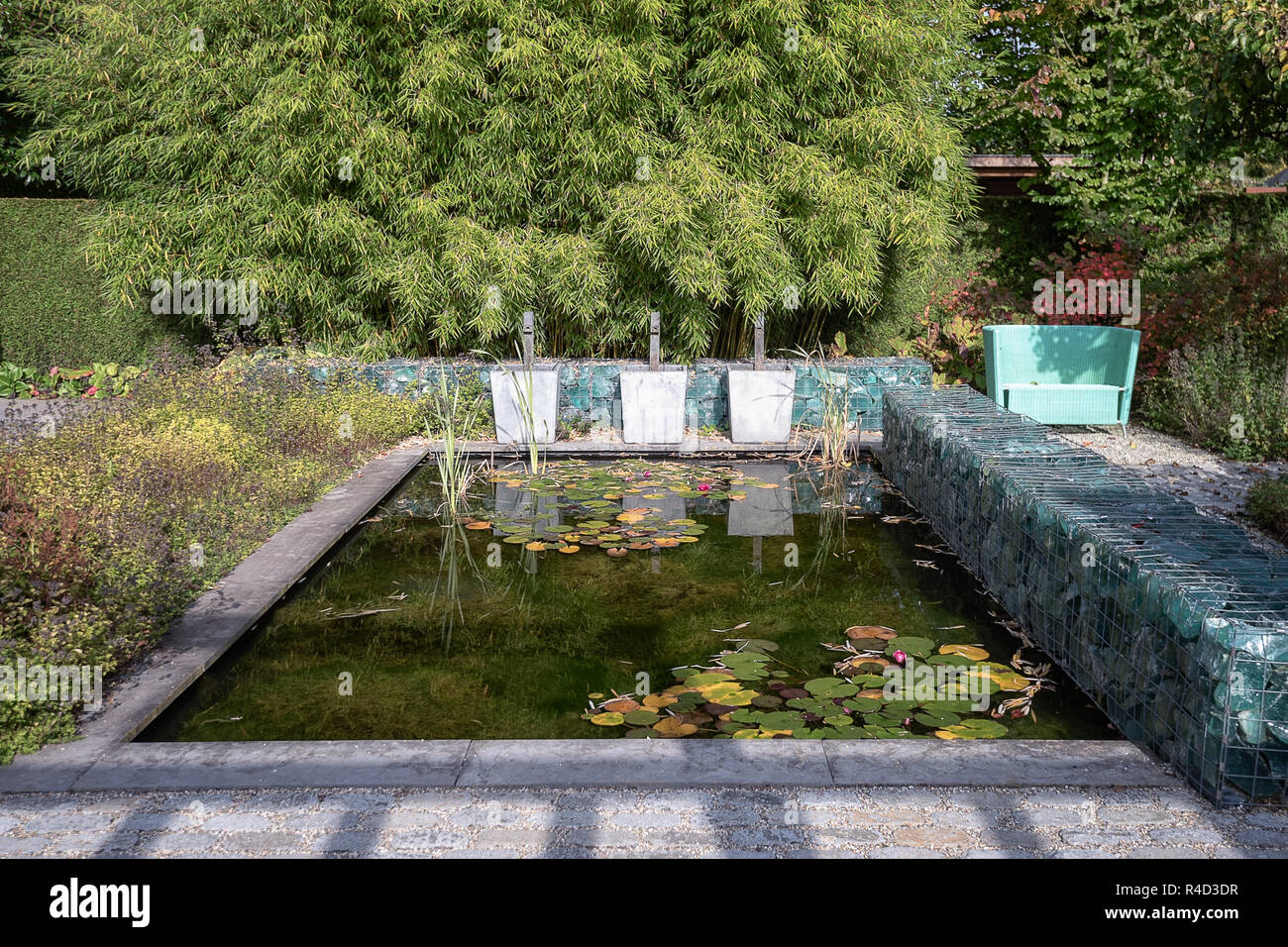 Stagno circondato da un muro fatto di blocchi di vetro in un bellissimo giardino di autunno da qualche parte nei Paesi Bassi Foto Stock