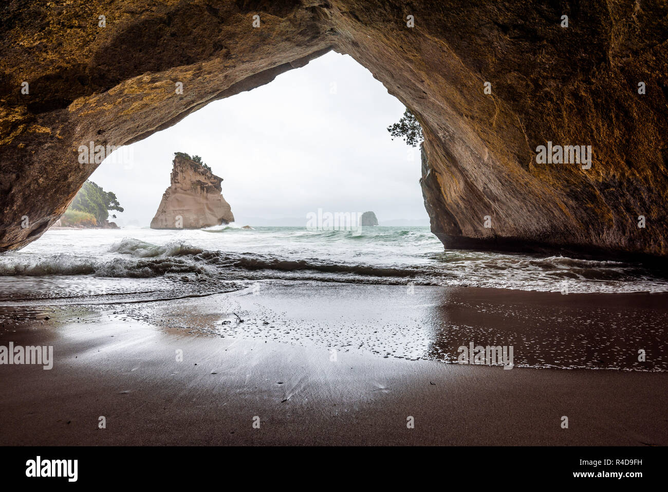 Arco di roccia in Te Whanganui-A-Hei (Cove della cattedrale) riserva marina, Nuova Zelanda. Foto Stock