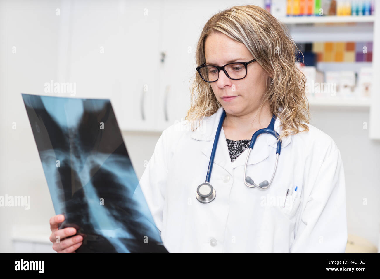 Medico donna esaminando una radiografia Foto Stock