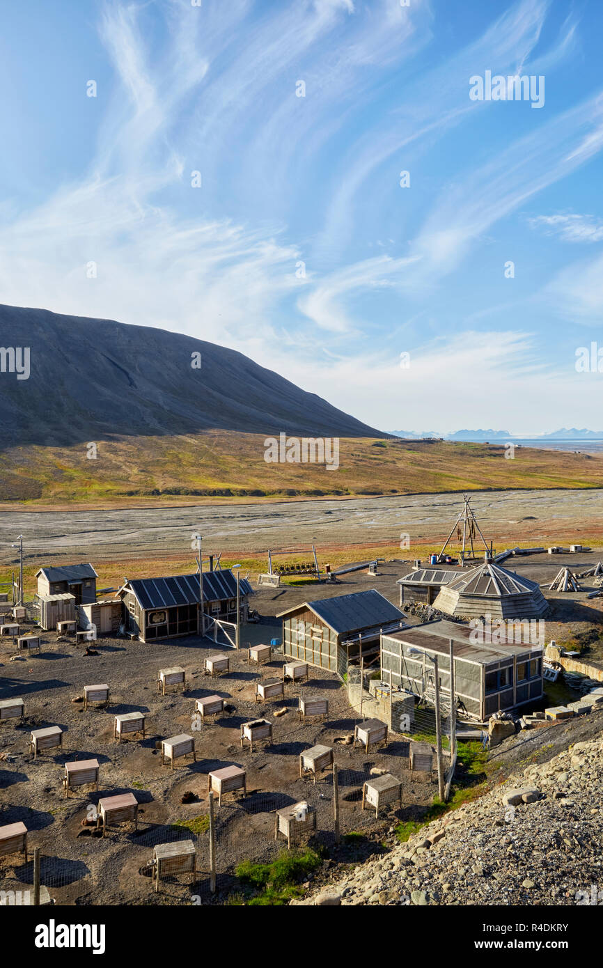 Cani Husky camp vicino a Longyearbyen in Svalbard Spitzbergen, Norvegia Foto Stock