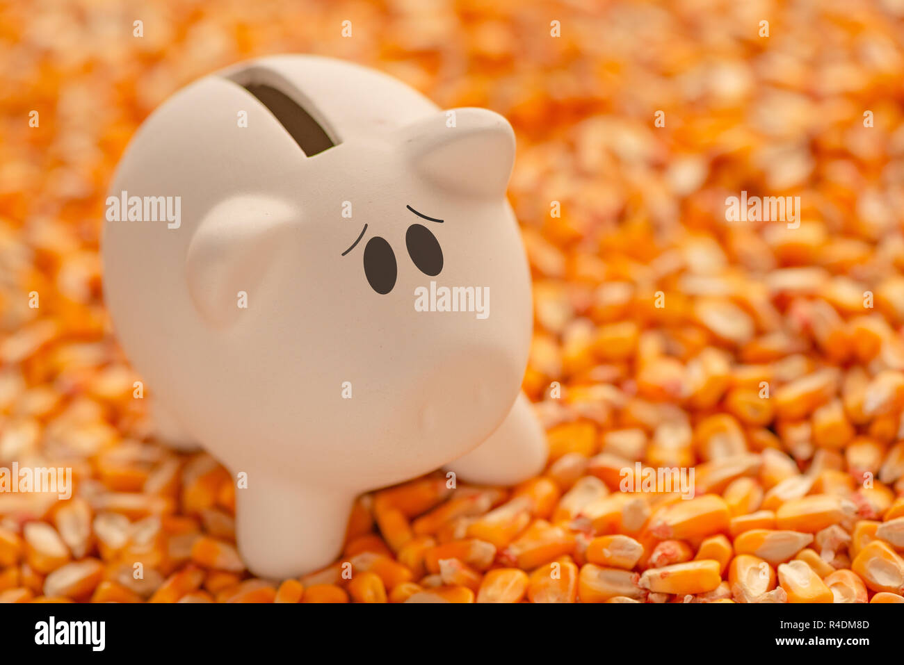 Salvadanaio sulla pila di raccolto di sementi di mais con copia spazio come immagine concettuale per un risparmio finanziario e piano di pensionamento in agricoltura e allevamento bus Foto Stock