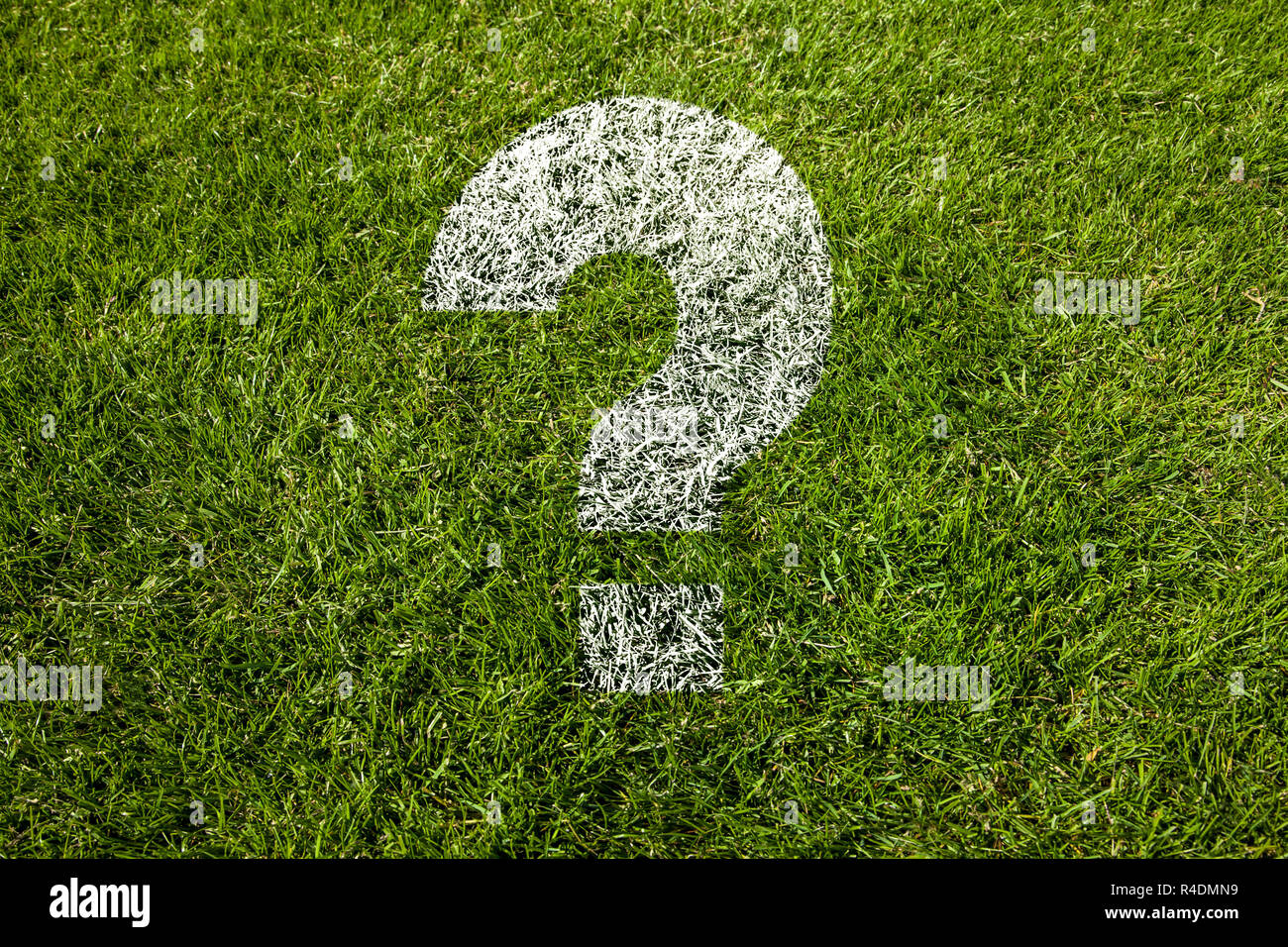 Punto interrogativo sul prato Foto Stock
