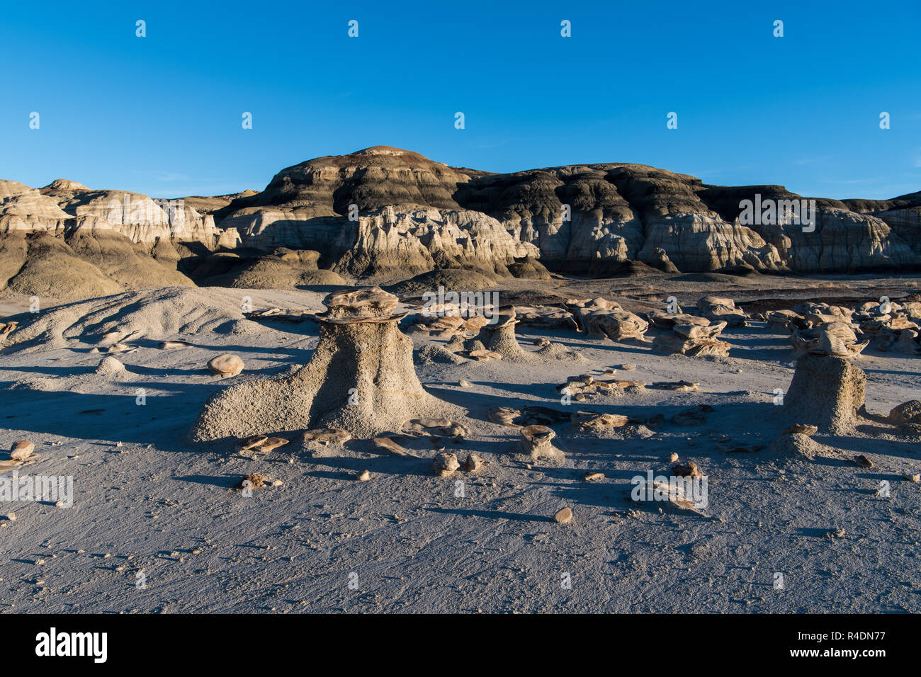 Insolite formazioni di roccia nella " uova incrinate " campo di roccia in Bisti Badlands del New Mexico Foto Stock