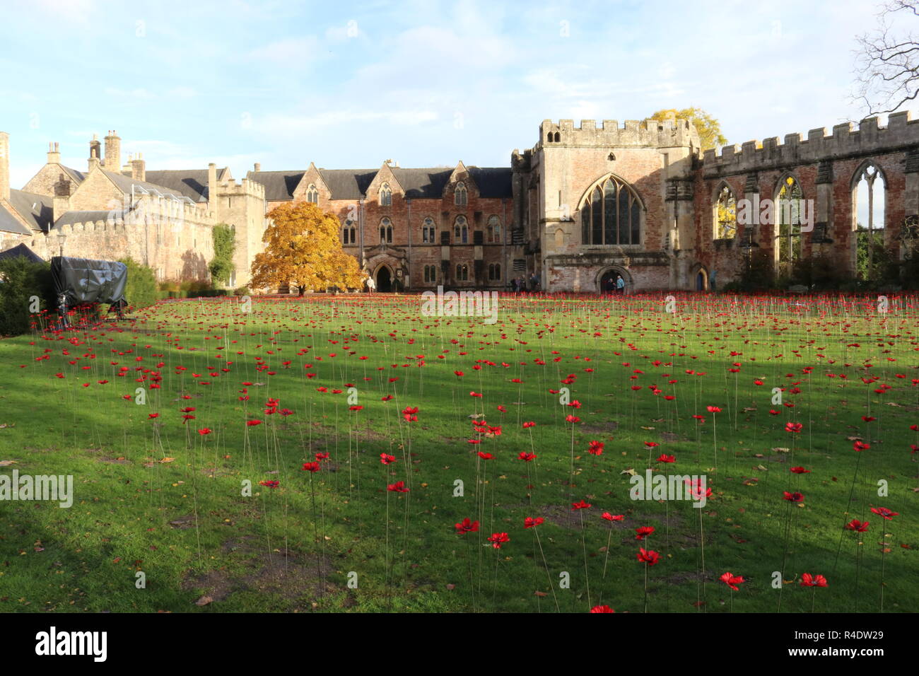 Novembre 11 Giorno del Ricordo omaggio. Campo di papaveri al di fuori del Palazzo dei Vescovi e dei giardini, pozzi, Somerset, Inghilterra, Regno Unito. Foto Stock