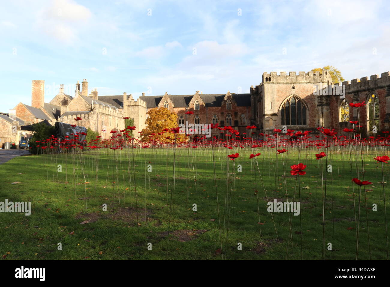Novembre 11 Giorno del Ricordo omaggio. Campo di papaveri al di fuori del Palazzo dei Vescovi e dei giardini, pozzi, Somerset, Inghilterra, Regno Unito. Foto Stock