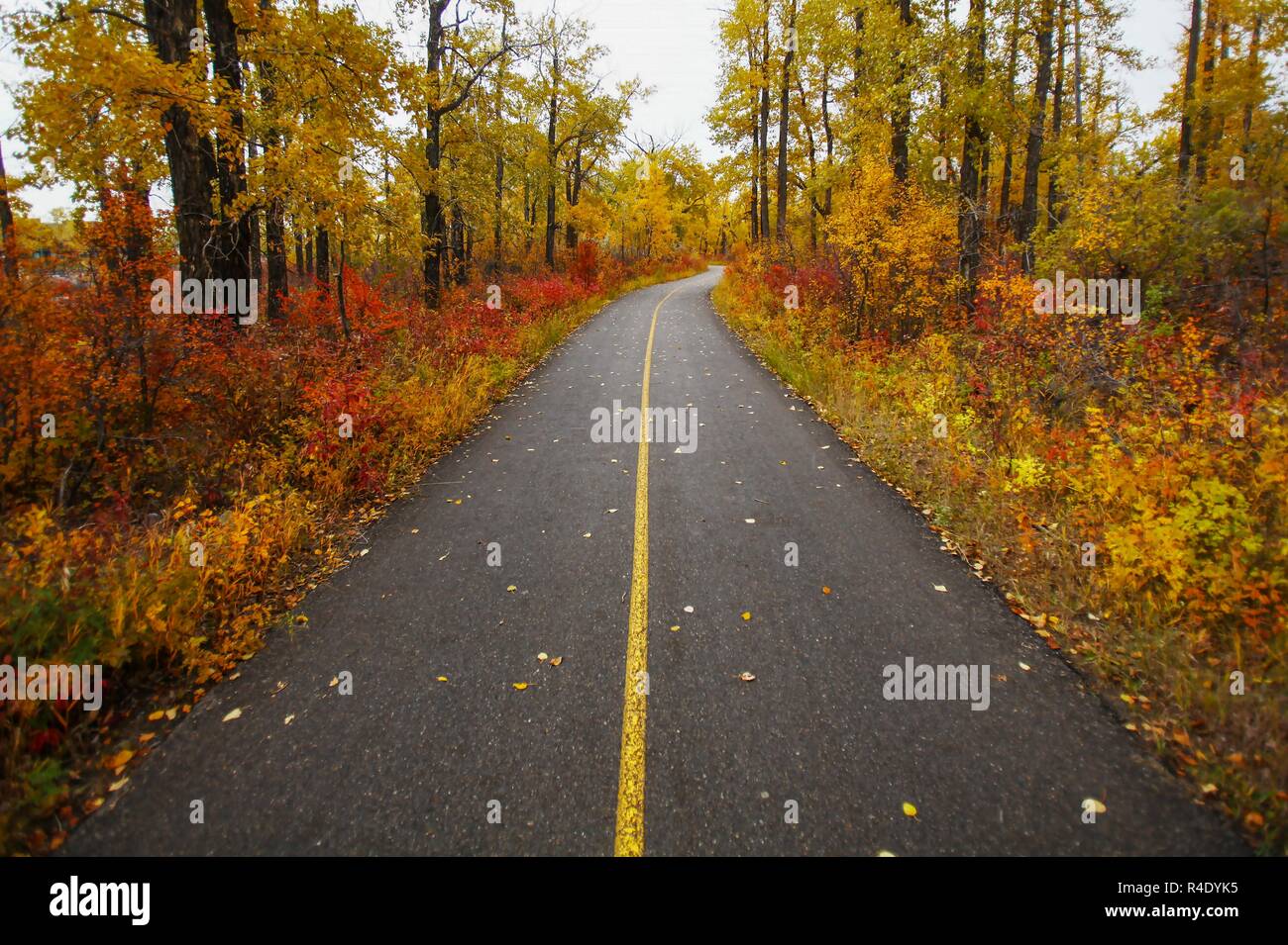 Percorso in bicicletta d'autunno nel parco circondato da splendidi alberi rossi e gialli. Foto Stock