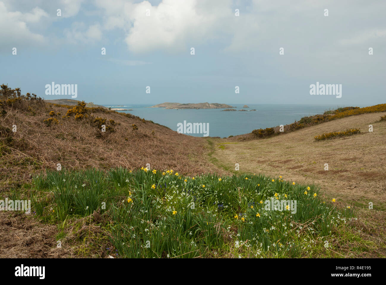 Una vista dal sentiero costiero di St Martin, Scilly, Fra selvaggi fiori di primavera al mare blu e un'isola al di là. Una soleggiata giornata di primavera. Foto Stock