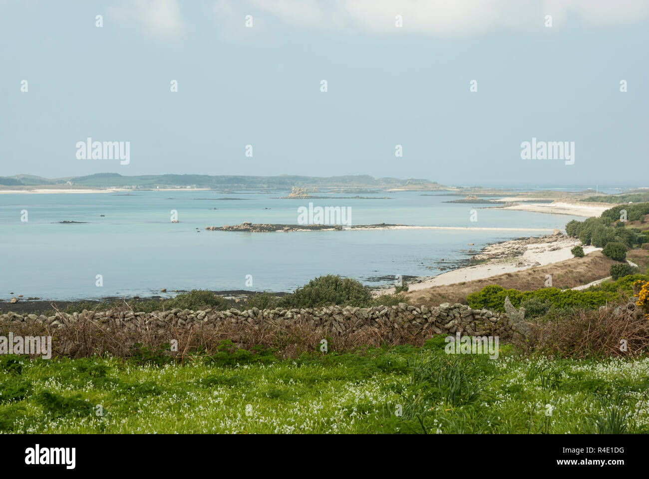 Stupenda vista sunny St Martins, Scilly, con Laurence's Beach, selvatici fiori di primavera e incredibile blu pallido al di là del mare. Foto Stock