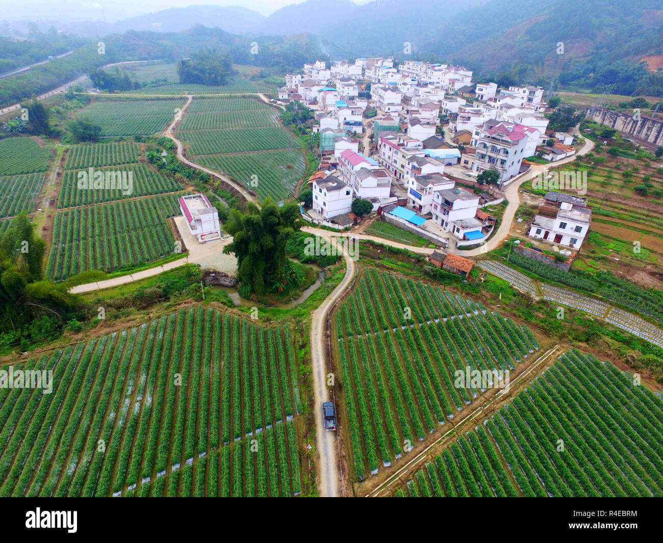 Nanning. 1 dicembre, 2015. Foto aerea presa il 1 dicembre, 2015 mostra i campi di pomodoro in Youjiang distretto di Baise, sud della Cina di Guangxi Zhuang Regione autonoma. A causa di difficili desertificazione pietroso, persone provenienti da decine di contee e distretti in Guangxi da lungo tempo era stata colpita dalla povertà. Negli ultimi anni, ambientale completa il programma di controllo è stato effettuato per il controllo sassoso la desertificazione per la riduzione della povertà. Credito: Zhang Ailin/Xinhua/Alamy Live News Foto Stock